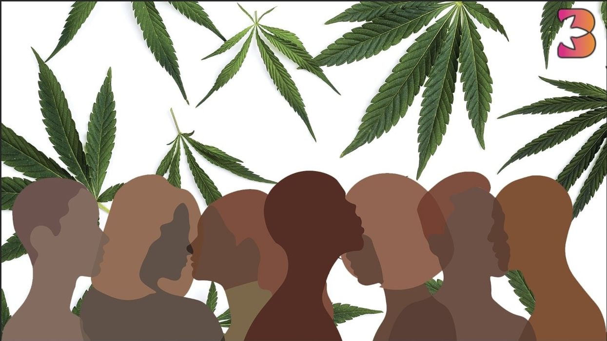 3 Organizations Supporting Social Justice in Cannabis
