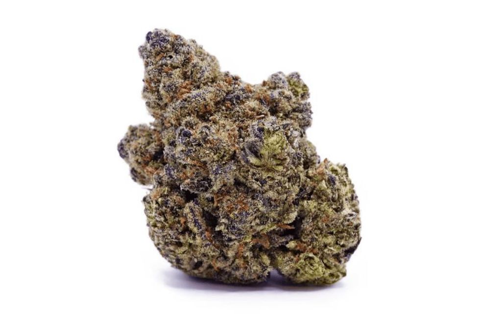 Discover Apple Fritter: The Sweet Hybrid - The Bluntness