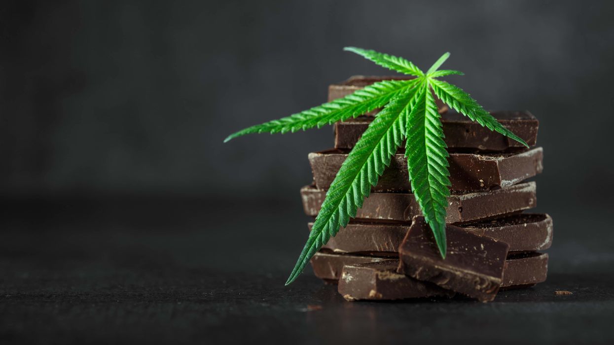 Are CBD chocolates for you?
