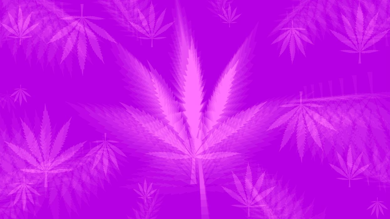 Are you dreaming purple yet?