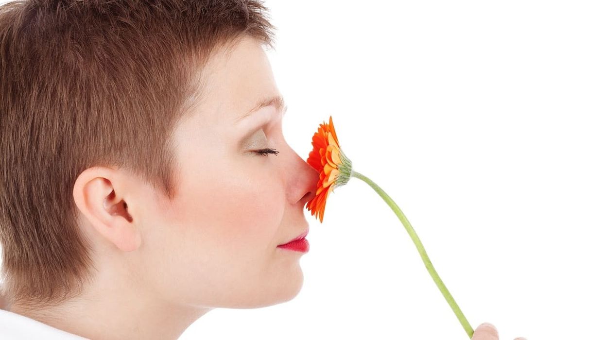 Aroma's Role in the Cannabis Experience: A Groundbreaking Study Sheds Light