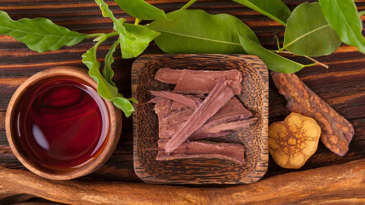 Ayahuasca removes the self imposed blocks we have between our soul and the divine.