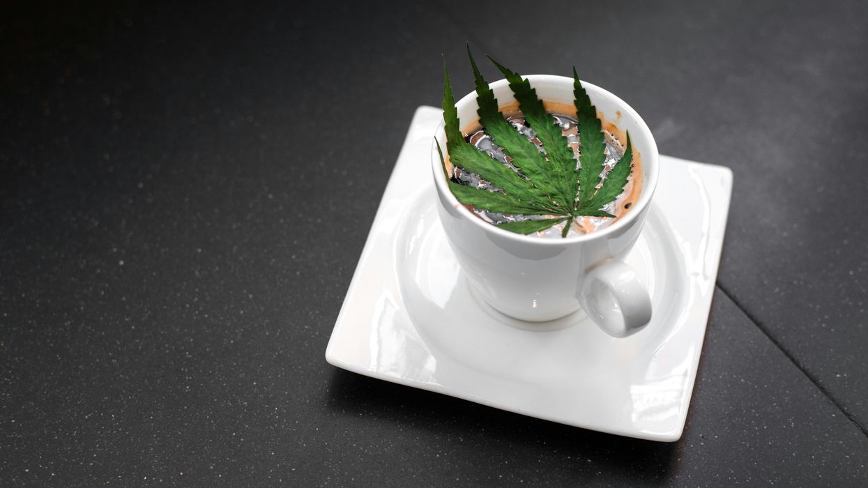 Cannabis Cafes vs. Bars: California’s New Frontier in Social Consumption