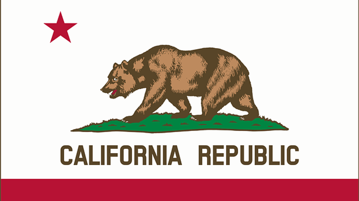 California Takes a Progressive Step: Cannabis Cafes and the Blossoming of Enlightened Cannabis Experiences