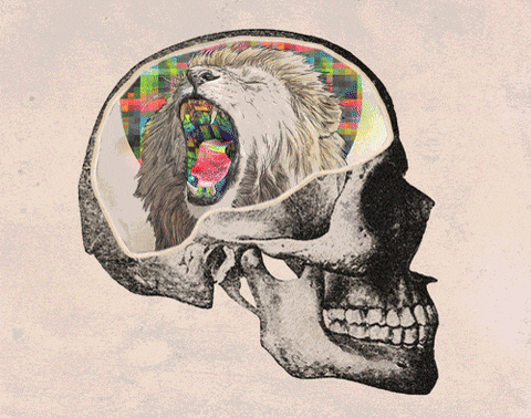 Cannabis and Aging: A Groundbreaking Study Challenges Long-Held Beliefs - The Bluntness