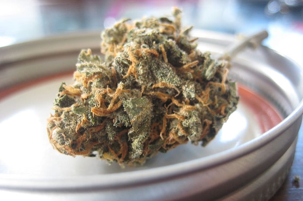 cannabis bud on jar lid