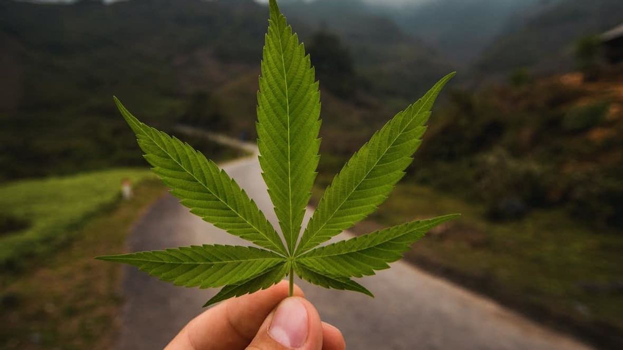Cannabis considered 'essential' in many states