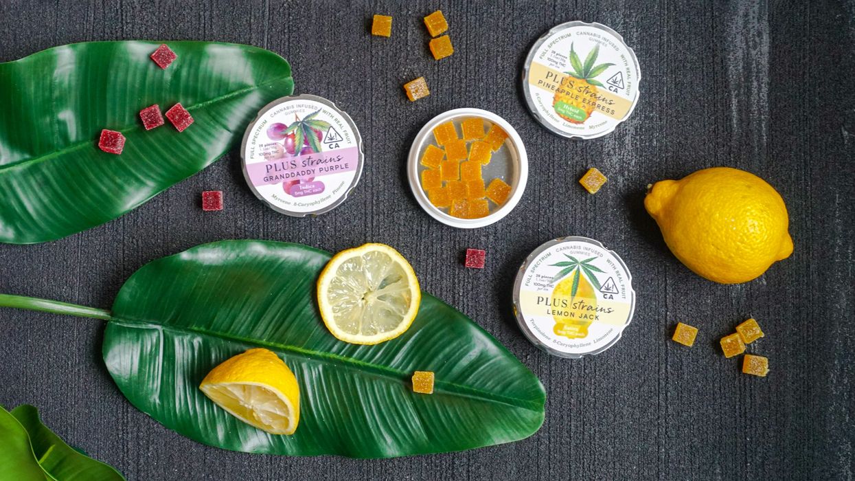 Cannabis Edibles: Dosage and Safety Tips - The Bluntness