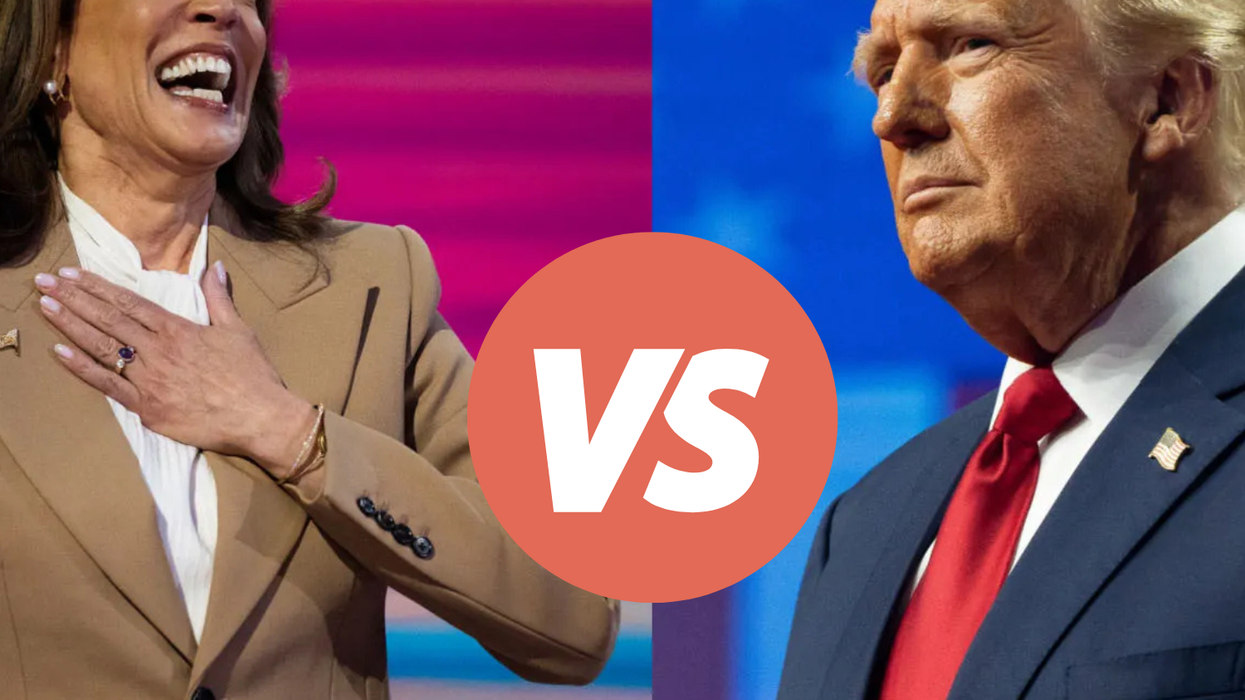Cannabis Legalization at a Crossroads: Trump vs. Harris in 2024 - The Bluntness