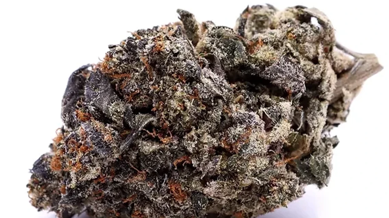 Cereal Milk Cannabis Strain: A Sweet and Balanced Hybrid - The Bluntness