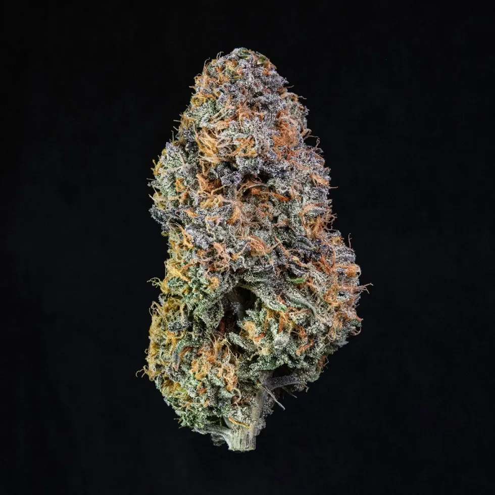close-up, macro image of lemon cherry gelato cannabis flower