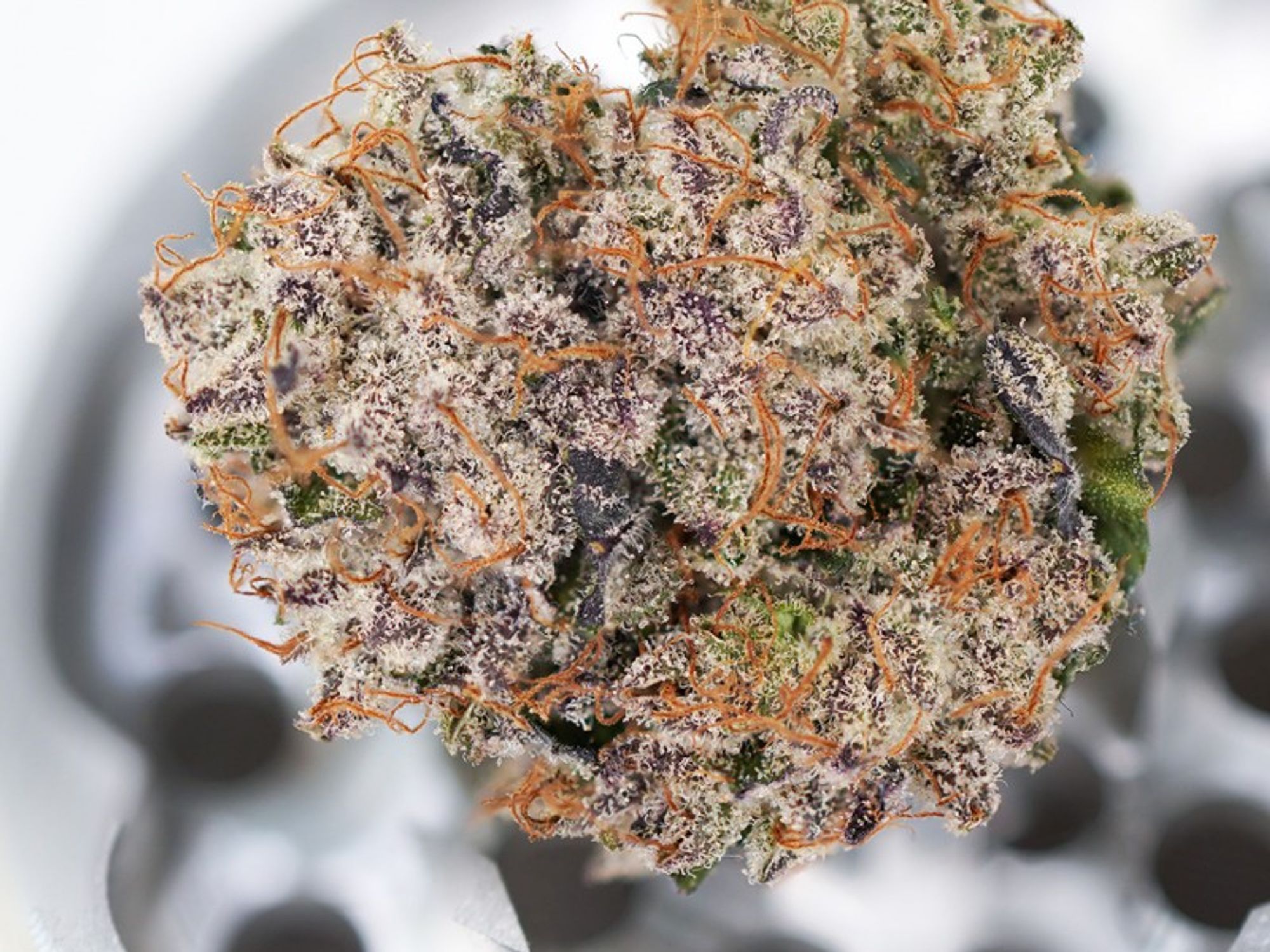 Exotic Weed online kaufen Deutschland getrocknete Blüten mit glänzenden Trichomen