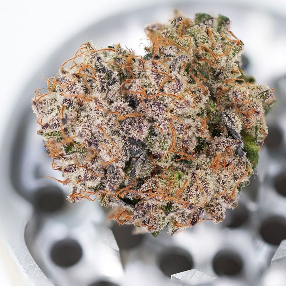 Mimosa Strain: The Wake-and-Bake Champion That Actually Delivers