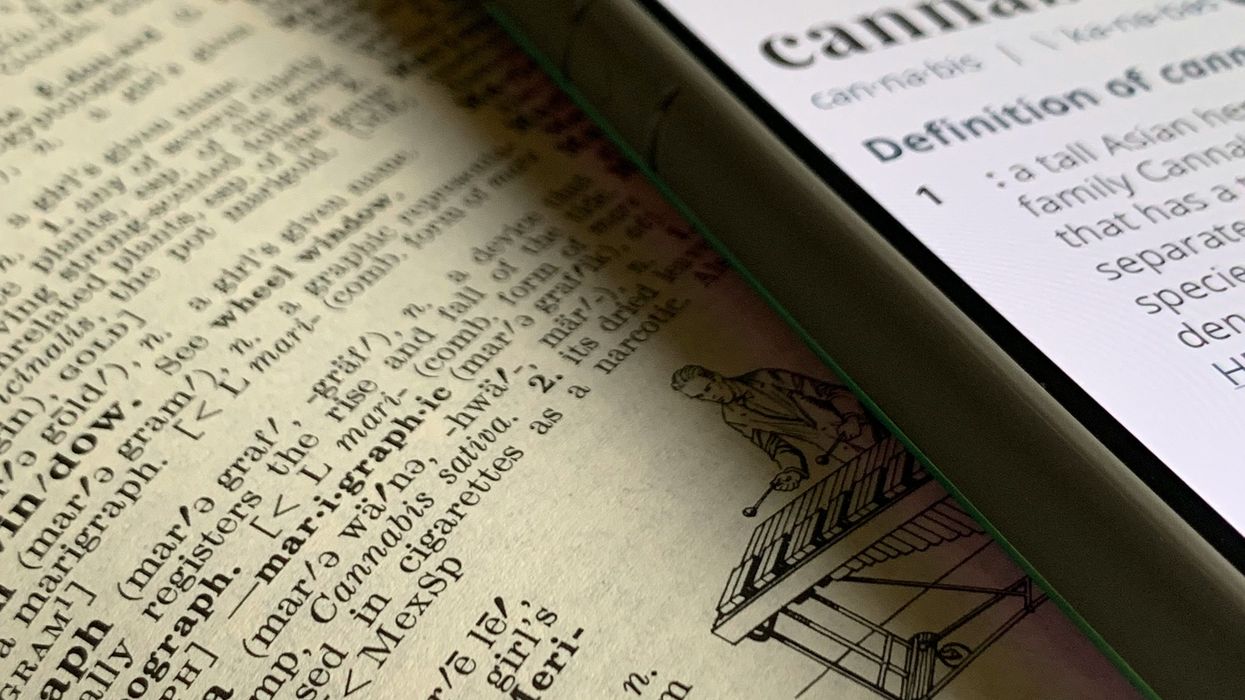 Comprehensive Glossary of Cannabis Terminology - The Bluntness