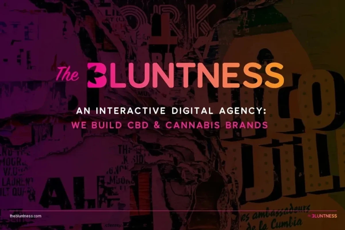 Create Custom Marketing Campaigns with The Bluntness Media