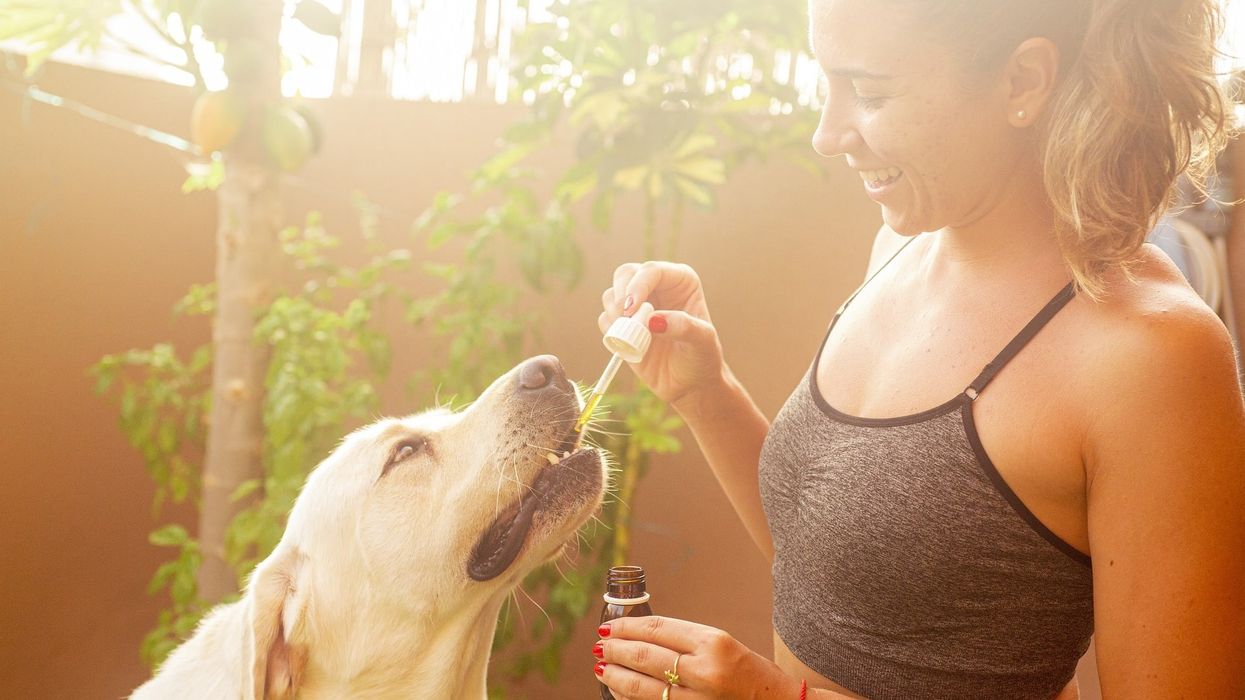 Do you know what's in your CBD product exactly?
