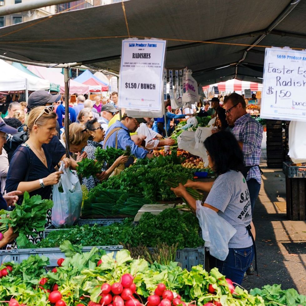Farmers Markets: A Smart Solution for New York's Budding Cannabis Industry