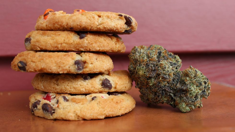 Farmers Markets: A Smart Solution for New York's Budding Cannabis Industry