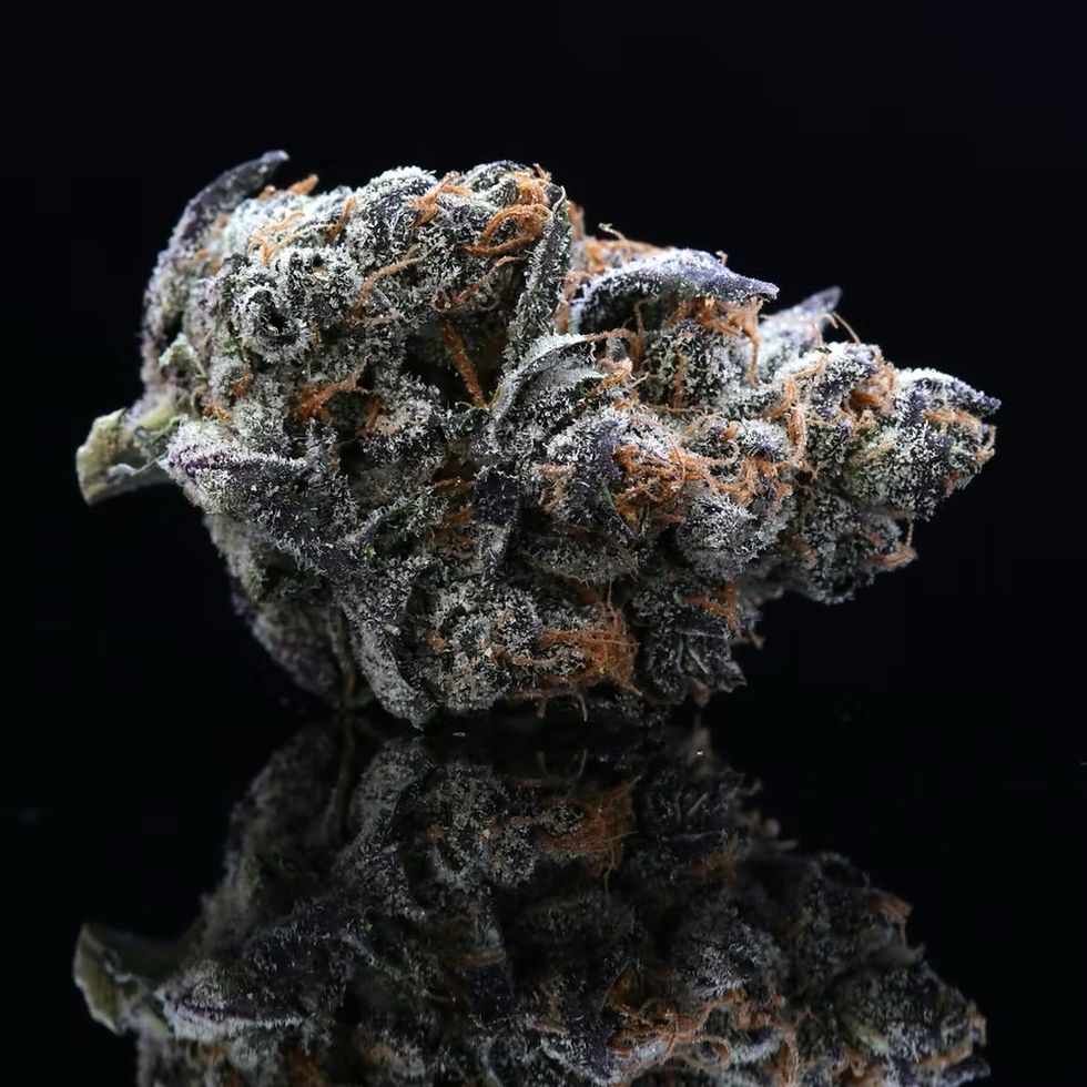 Georgia Pie Strain Profile: history, effects, and more - The Bluntness