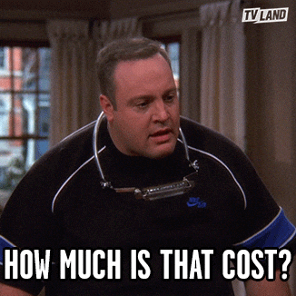 gif of actor Kevin James from King of Queens; asking "How Much Does That Cost?"