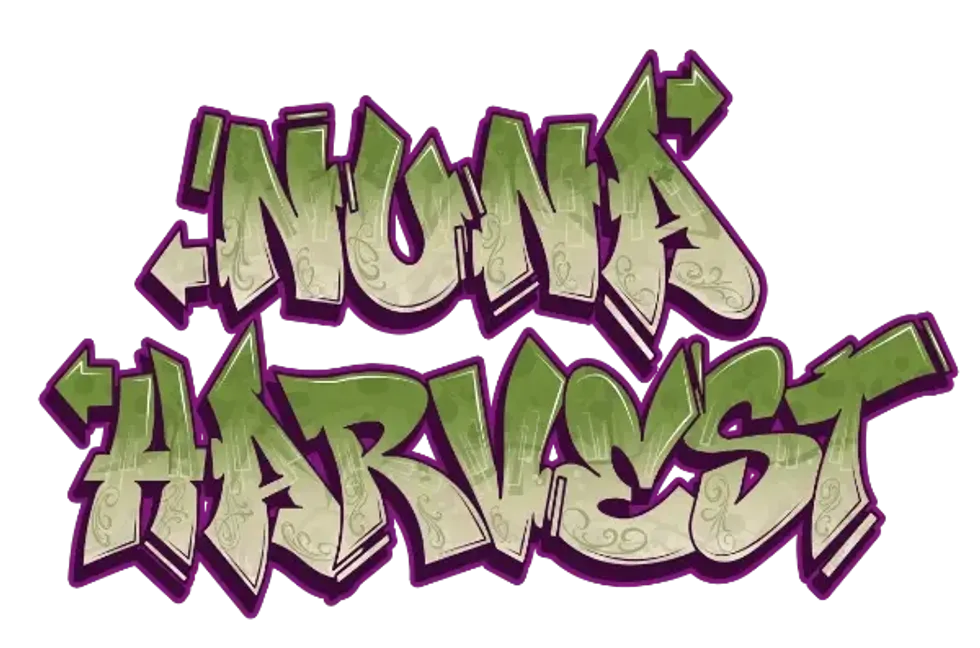 Nuna Harvest: Mount Vernon’s Award-Winning Cannabis Dispensary Built on Three Generations of Legacy