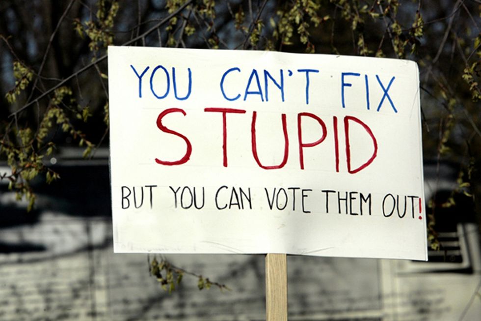 hand-written protest sign that says "you can't fix stupid, but you can vote them out!"