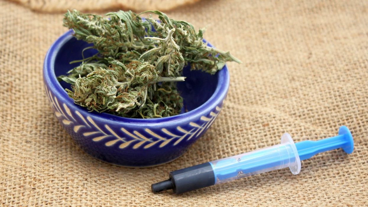 Hash oil phoenix tears medicine in little syringe with dry marijuana buds