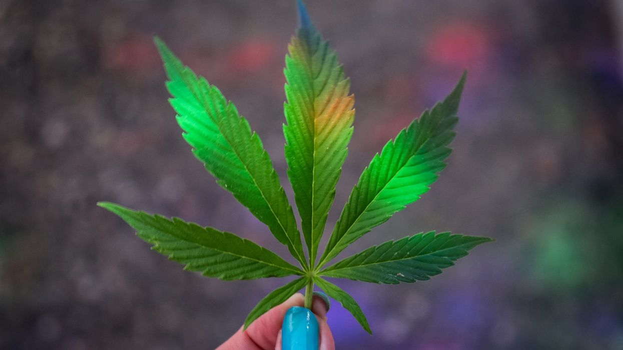 How to Get Your Hands In The Cannabis Industry