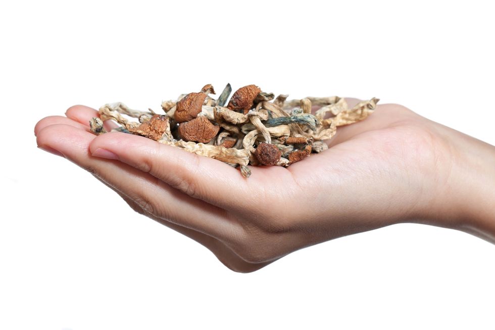 How to Make Mushroom Tea - The Bluntness
