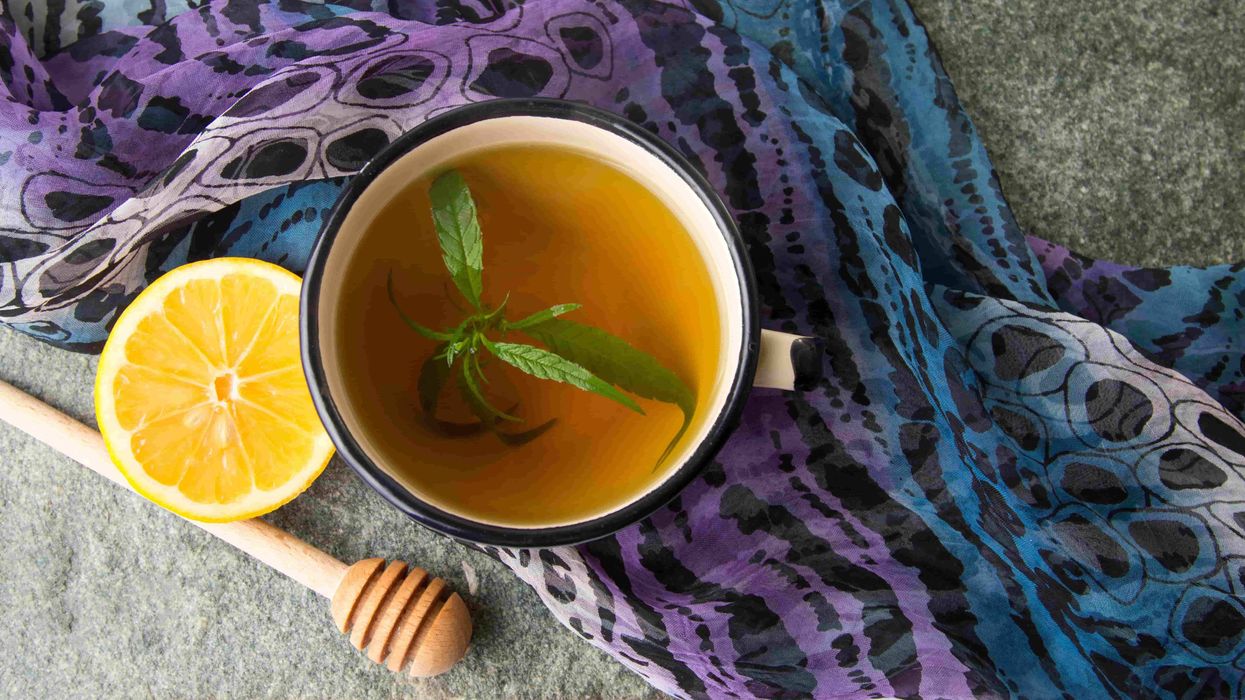 How to Make Weed Stem Tea in 5 Easy Steps - Potent Recipe - The Bluntness