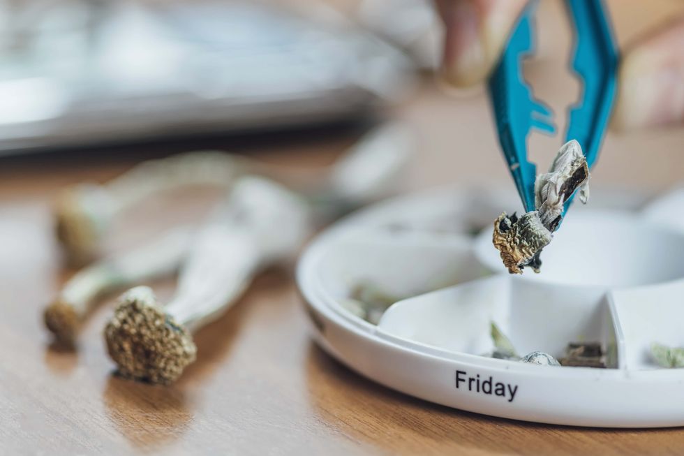 If you don't believe fungi can help save the world, maybe you ought to learn more about fungi.