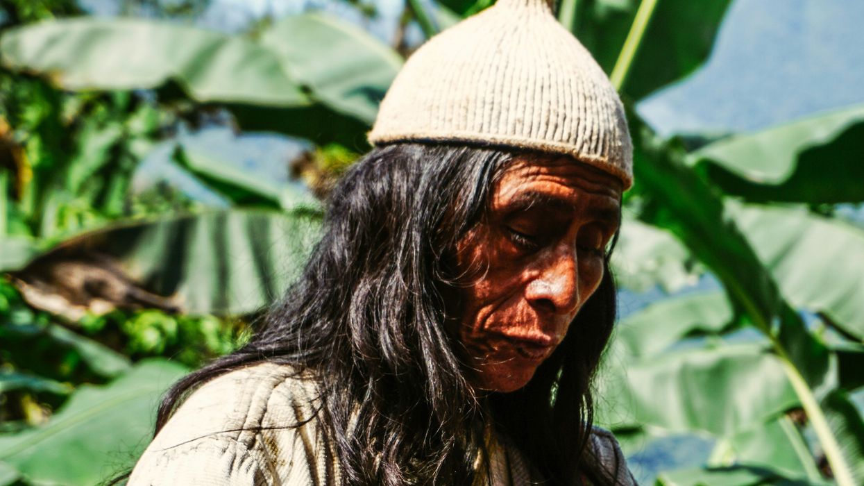 image of indigenous shaman, healer