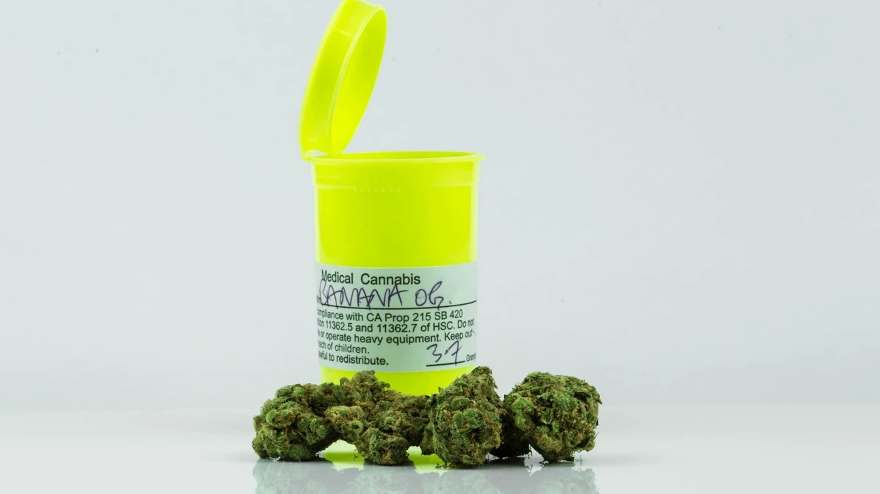 image of prescription pill bottle with medicinal cannabis surrounding it