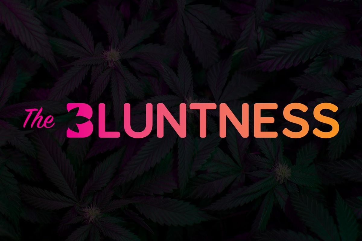 About The Bluntness, Inc.