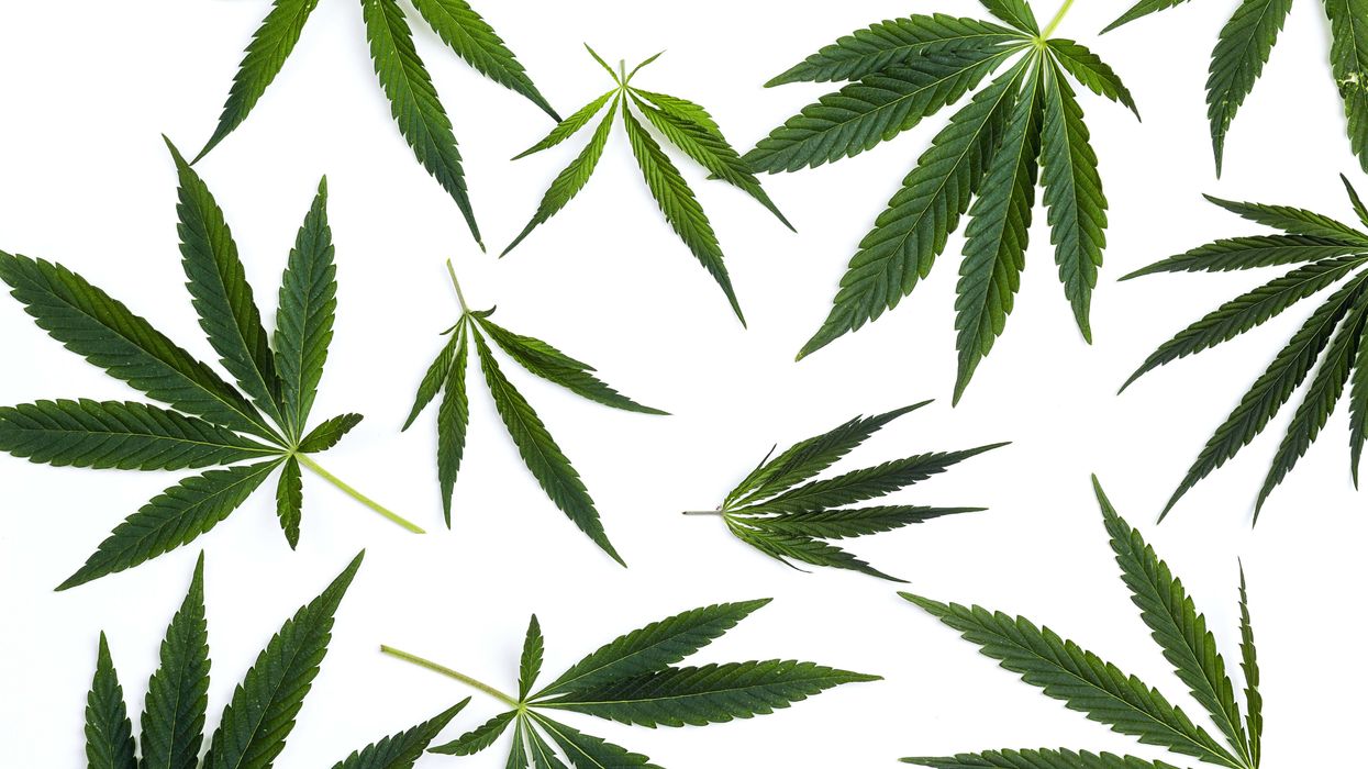 California Considers Fines to Stop Illegal Cannabis Sellers