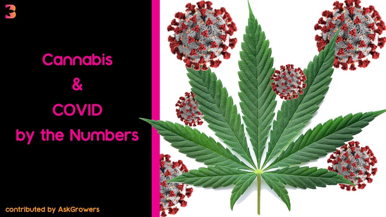 AskGrowers Weighs in: Cannabis & COVID-19 by the Numbers