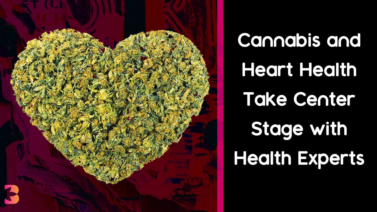 Cannabis Could Be Detrimental to Heart Health, Pros Say