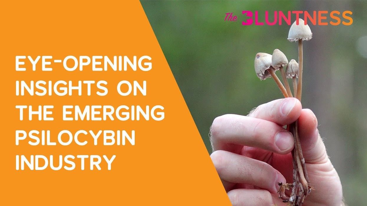 Maryland to Fund Psychedelics Research, Access for Veterans