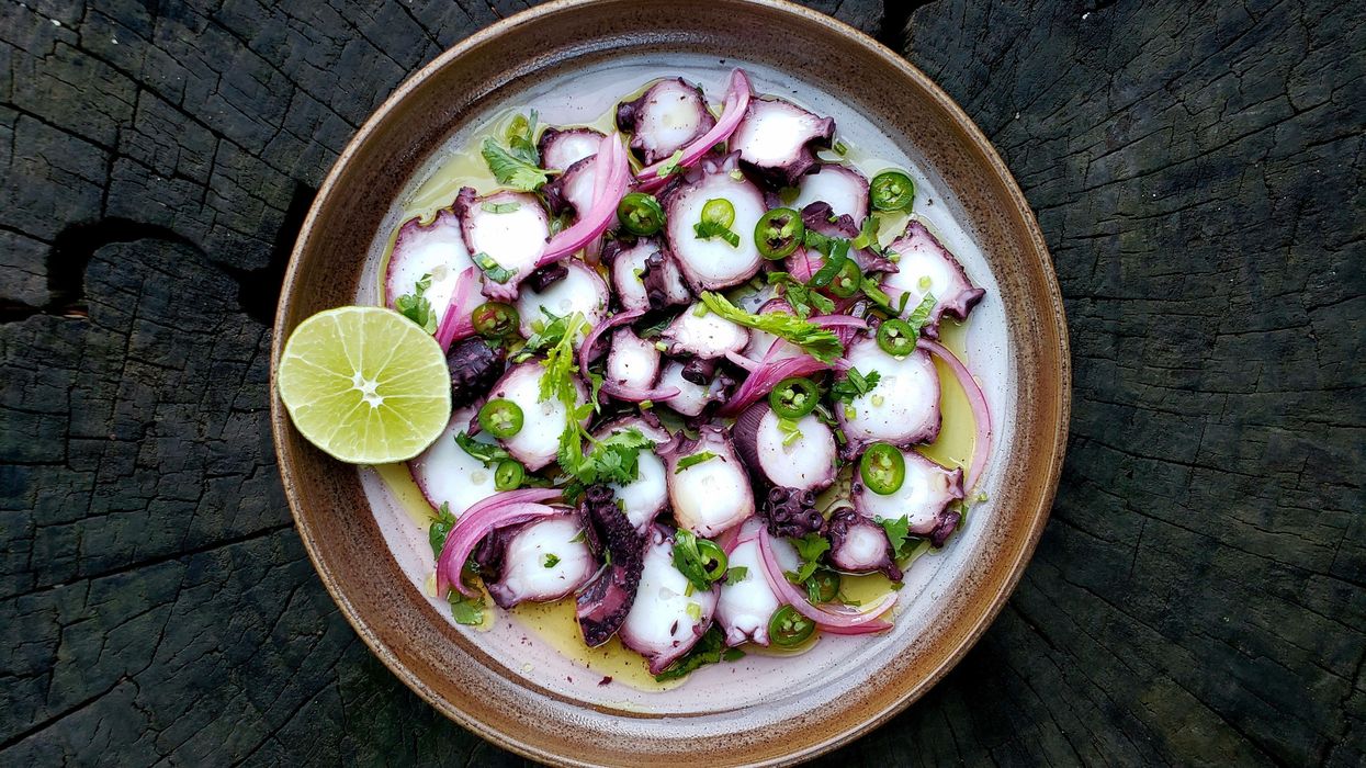 Cooking with Cannabis: Sativa-Soaked Octopus Ceviche