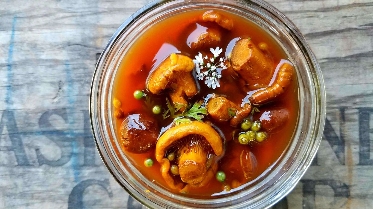 Cooking With Cannabis: Sriracha Pickled Wild Chanterelles
