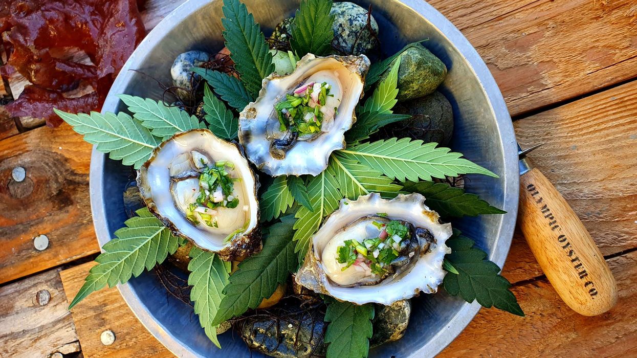 Cooking With Cannabis: Wild Oysters In The Nude With Anvil Angry Water