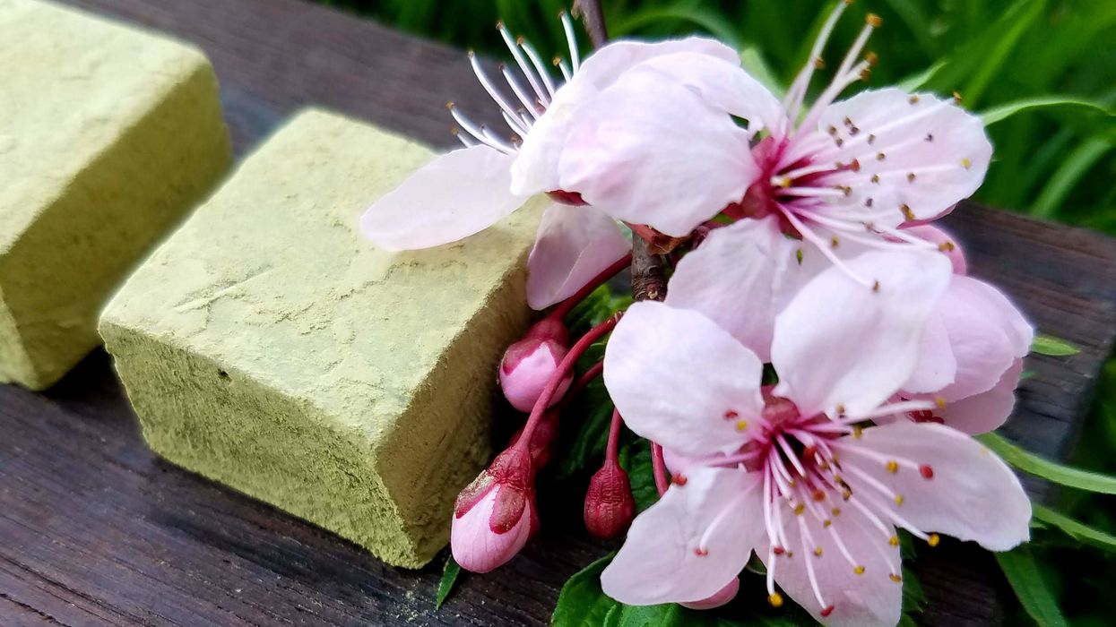 Cooking With Cannabis: Cannabis Green Tea White Chocolates