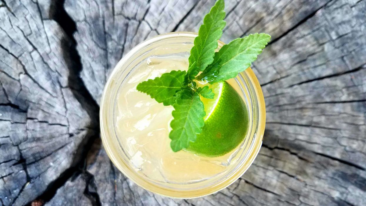 Cooking With Cannabis: The Couve Donkey