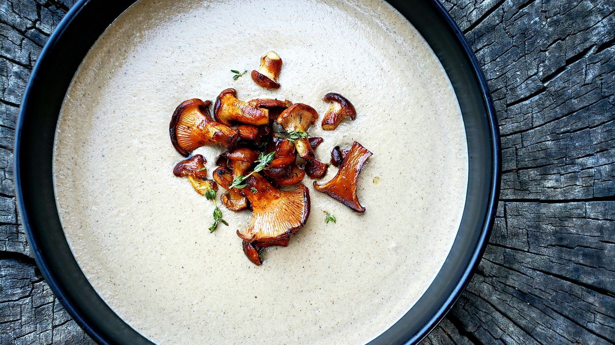 Cooking With Cannabis: Cream of Forrest Foraged Mushrooms