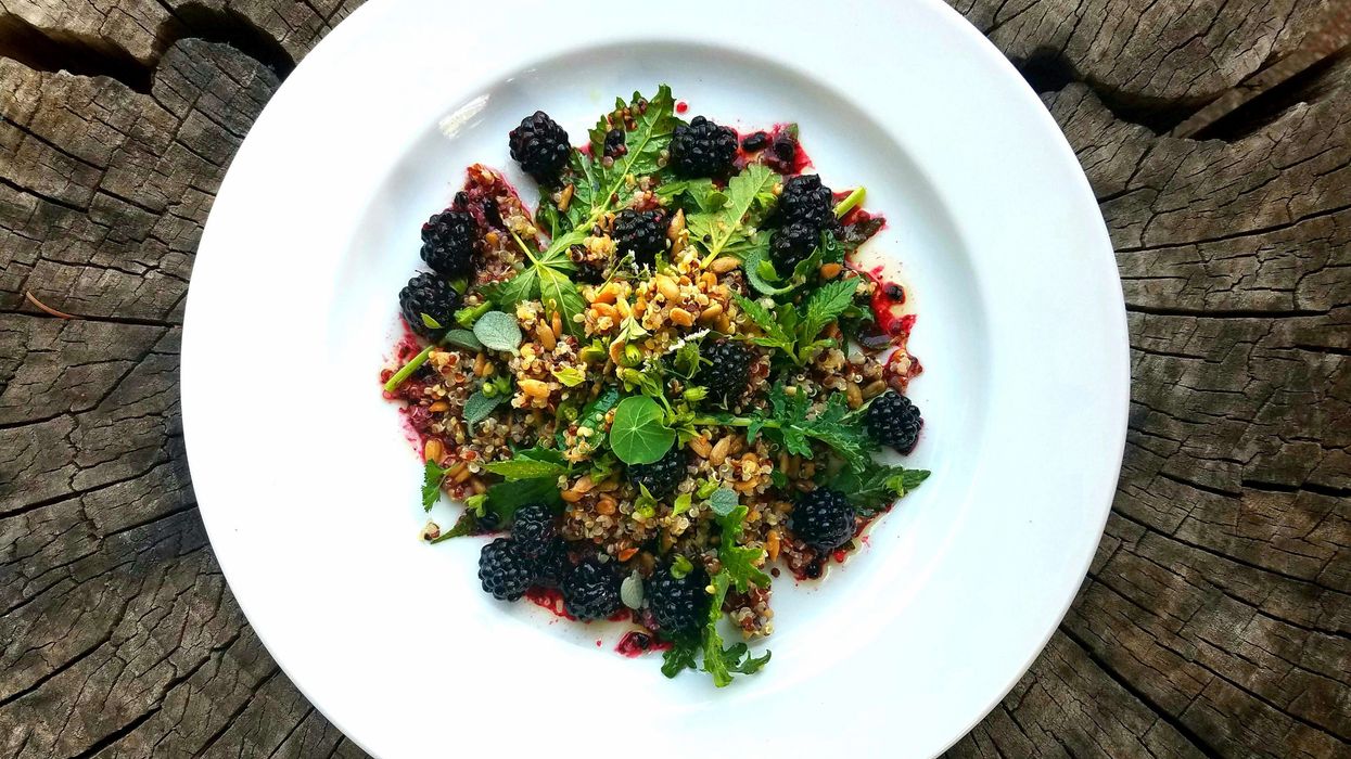 Cooking With Cannabis: Cannabis, Kale & Pickled Wild Blackberry Salad