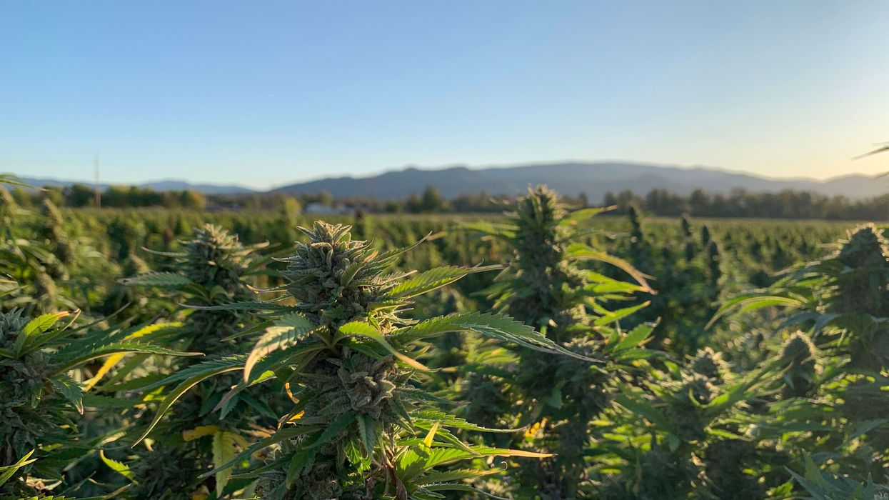 5 Things To Know About CBG