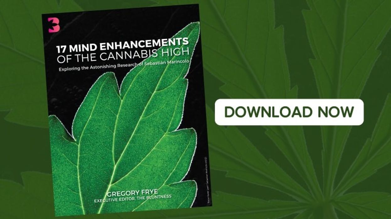FREE E-BOOK: 17 Mind Enhancements of the Cannabis High