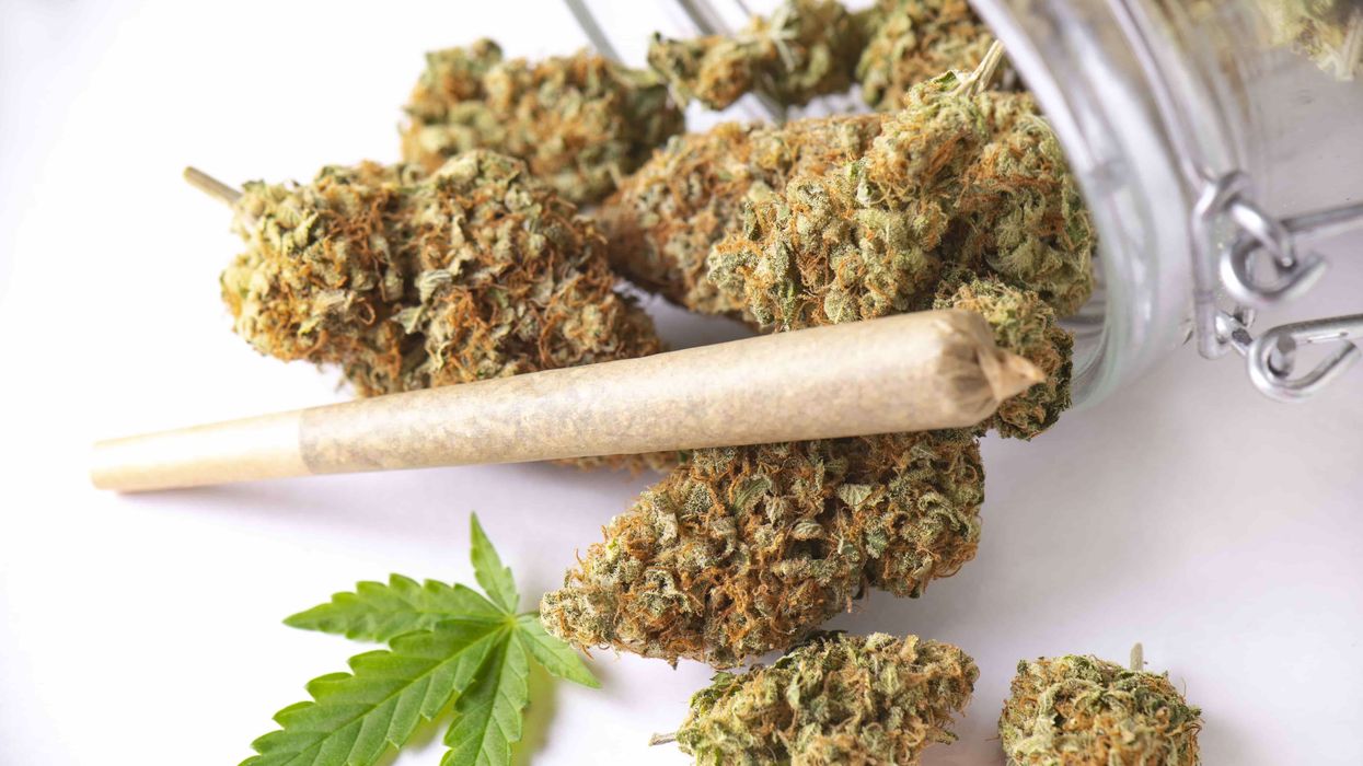 Crème Brulee Cannabis Strain Profile