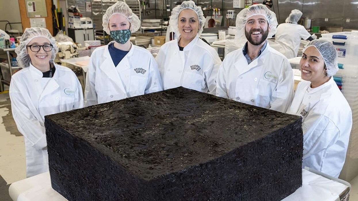 Blunt Take: Why The World’s Largest Pot Brownie Actually Sucks