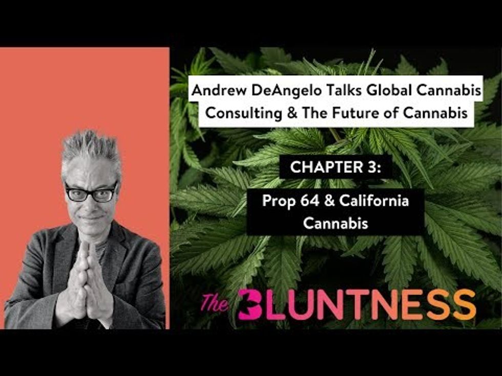 Prop 64 & California Cannabis with Andrew DeAngelo  | The Edge